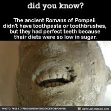 Ancients Romans Of Pompeii With Images Funny Facts Fun Facts Weird Facts