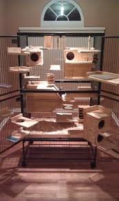 Find about best chinchilla cages so you can pick the best one from a list that has small and large i am going to help you find the best chinchilla cage for you. Awesome Two Level Chinchilla Cage With Lots Of Wooden Ledges And Hideouts Rat Cage Chinchilla Cage Ferret Nation Cage