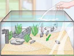 How to set up fish tank. How To Set Up A Tropical Freshwater Aquarium With Pictures