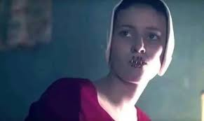 How do they eat and stay alive? 🤔🤔🤔🤔🤔