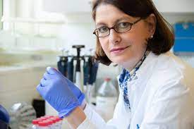 Germany is seeing rising covid infections and things are likely to get much worse by easter, according to the country's robert koch institute. Virologists Show That Sample Pooling Can Massively Increase Coronavirus Testing Capacity Eurekalert Science News