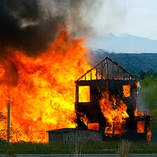 Image result for Combustio