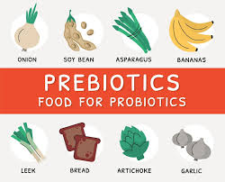 Role of Prebiotics with Probiotics - Food Safety Helpline