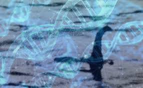 Mathematically, a quantum mechanical state is a sum (or superposition) of all possible states. Sequencing Complete Scientific Search For Loch Ness Edna Enters Final Round