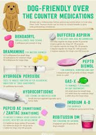 Pin By Madi On Dog Meds For Dogs Dog Care Tips Dog Medicine