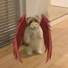 Pin On Hawks Shrine