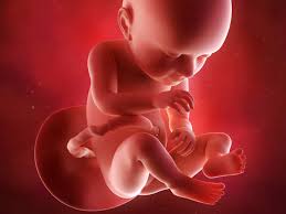 9 weeks pregnant is how many months? 37 Weeks Pregnant Eat Well Get Plenty Of Rest Times Of India