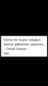Kirmizi Bir Kustur Solugum Kumral Goklerinde Saclarinin Cemal Sureya Kus Goku