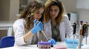 Ayrıca üniversitelerde bu mesleğe tekabül eden moleküler biyoloji ve genetik bölümüne de. Molekuler Biyoloji Ve Genetik Ingilizce Bolum Hakkinda Uskudar