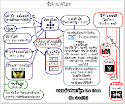 Check spelling or type a new query. One Piece à¸­à¸¢à¸²à¸à¸—à¸£à¸²à¸šà¹à¸œà¸™à¸œ à¸‡à¸­à¸‡à¸„ à¸à¸£à¸ à¸‡à¸£ à¸à¸šà¸²à¸¥à¹‚à¸¥à¸ à¹€à¸› à¸™à¸­à¸¢ à¸²à¸‡à¹„à¸£ Pantip