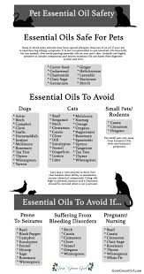Cats are more sensitive to essential oils than dogs, and they love to lick any smelly thing you put on them. Bluehost Com Essential Oils Dogs Essential Oil Safety Essential Oils Cats