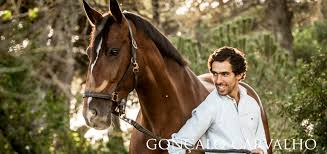 One of the biggest parts of learning to ride well in dressage involves feel. Goncalo Carvalho Olympic Dressage Rider Lusitano Horse Finder
