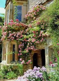 Exquisite Gardens Climbing Roses Derbyshire French Cottage Garden Cottage Garden Design Cottage Garden