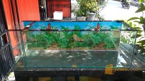 Daftar harga kaca januari 2020 semua jenis dan ukuran dekor rumah : Aquarium Filter Samping Size 120x40x40 Kaca 5mm Jakarta Utara Jualo
