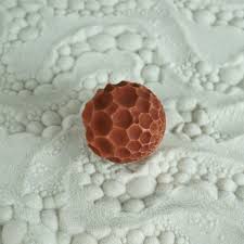 Sensory Play Tools Small Sand Sphere Bubbles Design Olander Earthw Ceramic Texture Clay Stamps Clay Texture