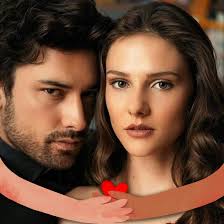 Pag-aaralan ko muna ang damdamin...