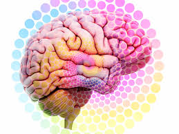 I would say over 72hr i ate over a. A Scientific Look At Your Brain On Shrooms 5280