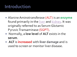 Sgpt level is 184, sgot is 130 and serum bilirubin is 1.8. Examination Of Sgpt