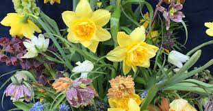 Cut flower gardens can be constructed in a variety of ways to fit a gardener's needs and desires. Planting A Cutting Garden For Beginners