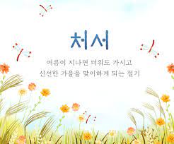 여전히 작업을 하느라 컴퓨터 앞에 오래 앉아있었고, 시야가 흐릿해지는 날도 더러 있었다. ì²˜ì„œ 24ì ˆê¸°