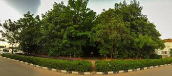 Maybe you would like to learn more about one of these? Mayank Agarwal Mayankagarwalca Twitter