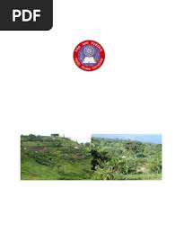 Image result for Vernonia ischnophylla