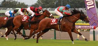 府中牝馬S】スカーレット重賞初V!末脚さく裂レースレコード 3F最速33秒 ...