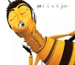 R Freshmemes Bee Movee Bee Movie Memes Movie Memes Stupid Memes