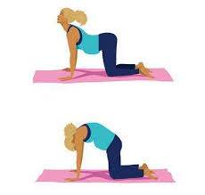 To facilitate the birth of a child such good yoga poses like warrior ii, triangle, pigeon, baddha of all the asanas on the side stretching comfort in an enlarged abdomen in the later stages of pregnancy. Facebook