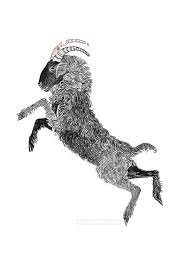 Inktober 2017 2 31 Do Not Attempt To Hide Things Which Cannot Be Hid Aesop S Fables The Goat And The Goather Scratchboard Art Animal Drawings Animal Art