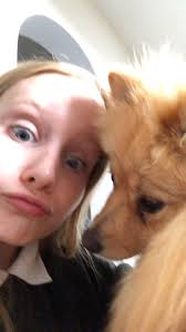 Home from Home Doggy Day Care and Training Facility