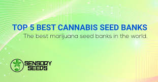 The mnsl seedbank offers a variety of other benefits for customers looking to buy seeds through. Top 5 Best Cannabis Seed Banks Sensoryseeds