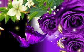 Black Background With Rose In Middle Purple Roses And Butterfly On A Black Background Desktop Wallpapers 1440x900 Purple Roses Purple Butterfly Wallpaper Black Background Wallpaper