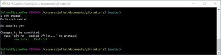 First, make sure git for windows and the windows terminal are installed. Git Tutorial Git Grundlagen Einfach Erklart Ionos