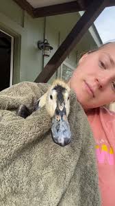 Ideas for portable duck pool entry assistance?