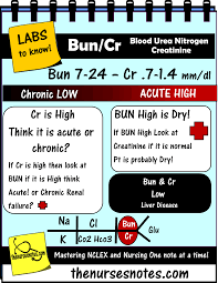 Bun Creatinine Kidney Disease Acute Renal Failue Labs Potassium Hyperkalemia Hypokalemia Hyponatremia Sodium Lab V Nursing Labs Nursing Notes Nursing Mnemonics