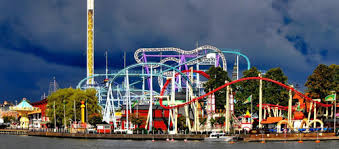 Image result for Grona setigera