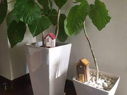 100均すのこdiy グリーンのアンプル栄養剤カバー 100均 すのこ 100均 diy すのこ カバー