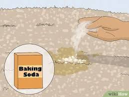 If left to sit, dirt and dust can actually stick to the sugar in the. 3 Simple Ways To Clean Beer Out Of Carpet Wikihow