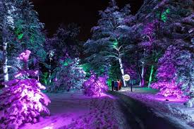 Illuminations Tree Lights At Morton Arboretum By The Numbers Between Us Parents Outdoor Tree Lighting Tree Lighting Morton Arboretum