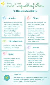 Erst nach dem ersten geburtstag dürfen kinder zusätzliche milchprodukte zu ihrer trinkmilch aufnehmen. Baby 12 Monate Entwicklung Essensplan Gewicht Pampers
