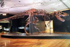 There are 105 head t rex sculpture for sale on etsy, and they cost $83.75 on average. T Rex Skeleton Brings 31 8 Million At Christie S Auction The New York Times