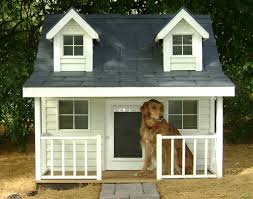 Casa rural para perros residencia canina. Viajar Con Tu Mascota Perro O Gato Casa Rural Cordoba