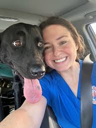 Lost and Found Pets in Hayden and Warrior Only