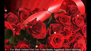 40 good morning wish love quotes for him and her in hindi english with images pagal ladka com. Good Morning Wishes With Beautiful Red Roses Morning Flowers For You Wishes Wallpapers Youtube