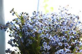 We're family owned and operated, and committed. Forget Me Not Floret Flowers