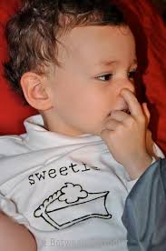 In Between Laundry: Tutorial and Templates: Funny Thanksgiving T-Shirts