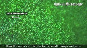These include boththe external and internal structures. Zoom Into A Lotus Leaf Narrated Youtube
