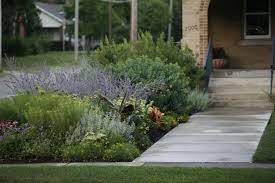 Ground layer is added to backyard design. 10 Ideas To Steal From Prairie Style Gardens Gardenista