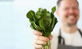 Cook Holds Bottle in Hand and Trickles Olive Stock Photo